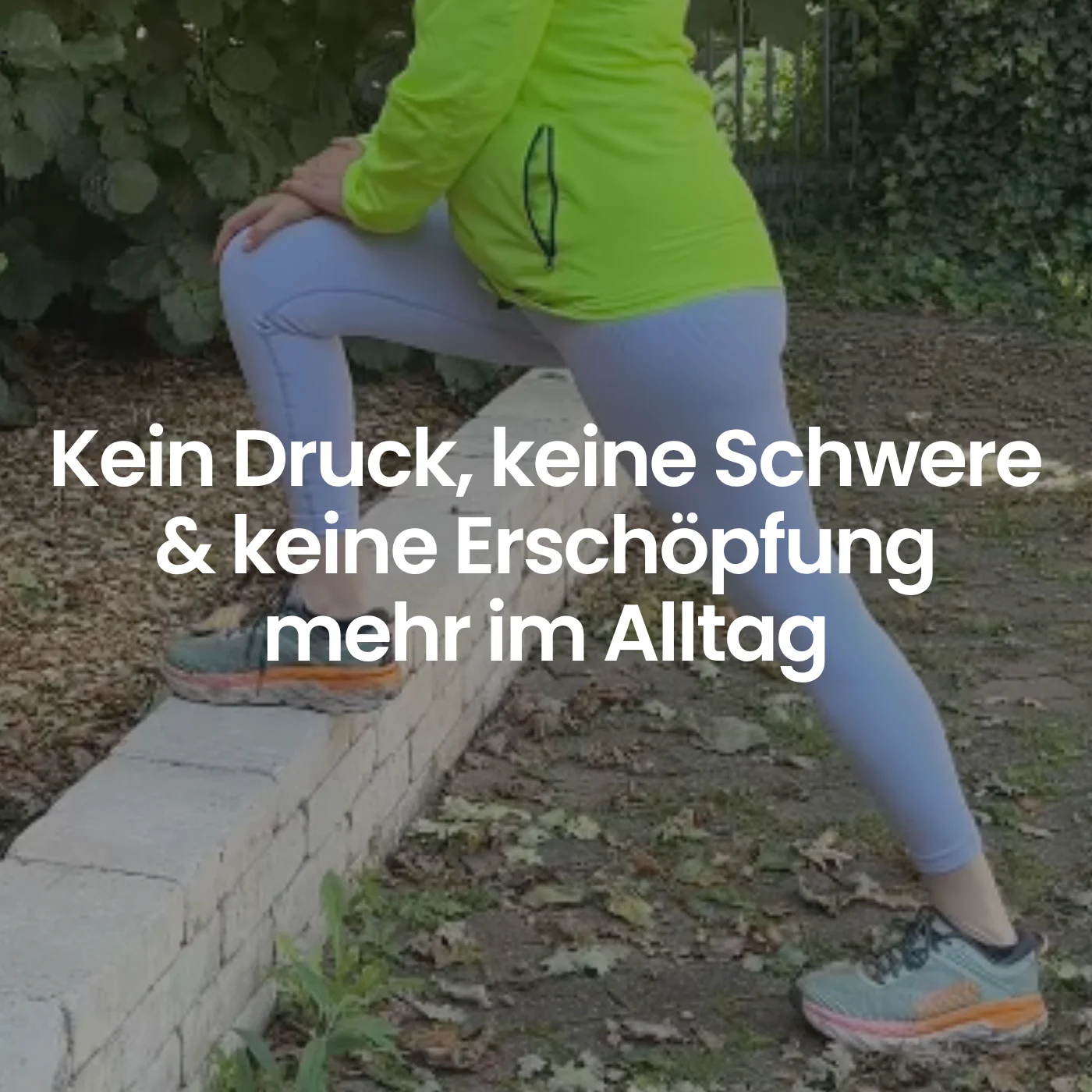 Vorschaubild 11